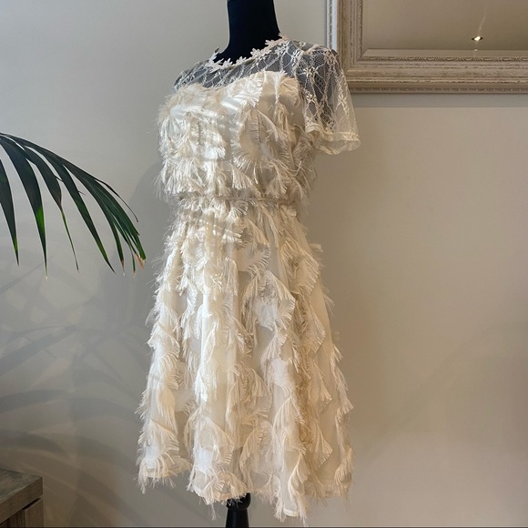 VALLEYGIRL Dust Pink Fringe Midi Dress Lace Romantic Evening Fit & Flare Size 8 - Picture 4 of 14